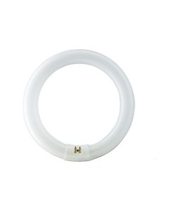 Świetlówka kołowa TL-E 32W/840 1CT/12 928026384070